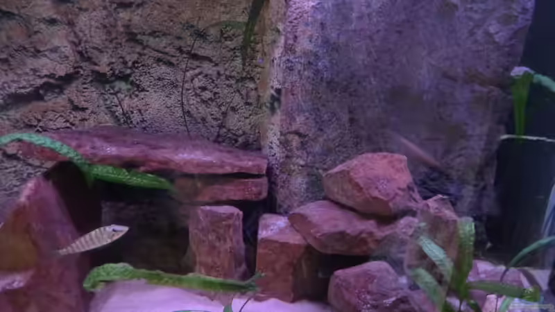 Rechte Seite von Jannik Sommer (3)