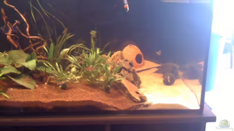 rechte seite von Jürgen Müller (3)