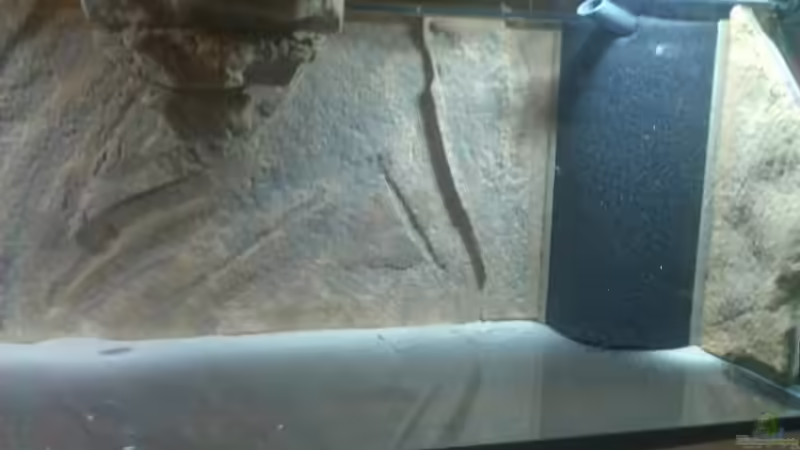 rechte Seite von Julien Preuß (11)