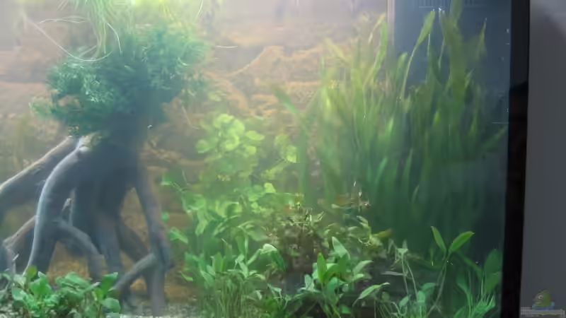 Rechte Seite von Katja Tyka (3)