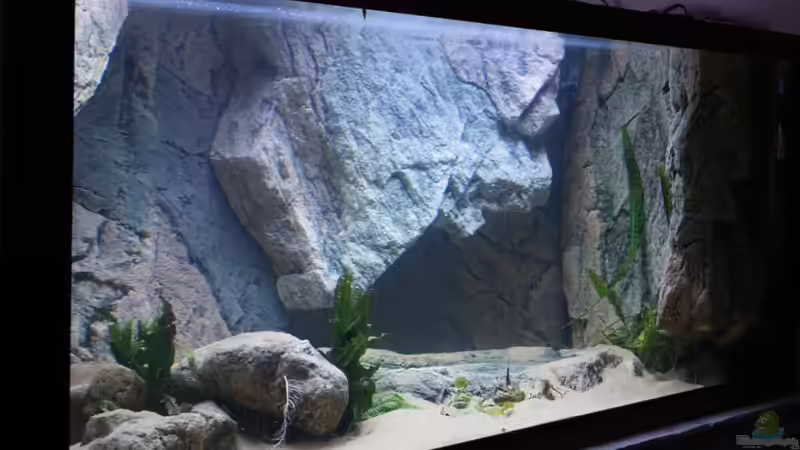 rechte Seite von Keule73 (7)