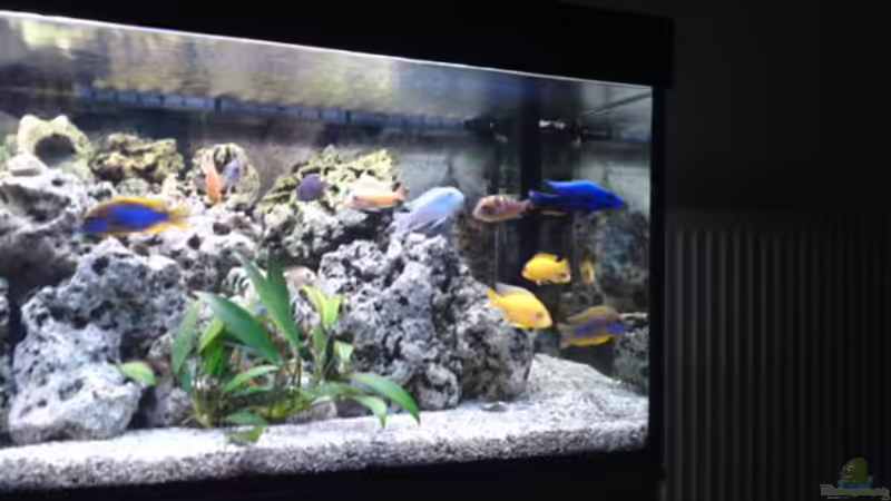 rechte Seite von Klaus M. (3)