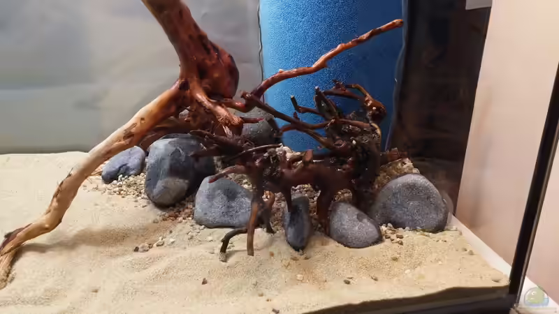 Rechte Seite von KleinerPlaty (11)