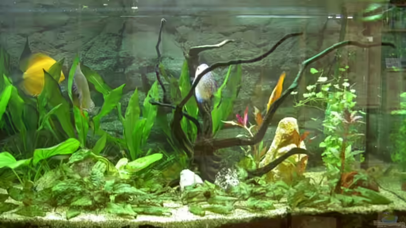 rechte Seite von Kurt Kastl (2)