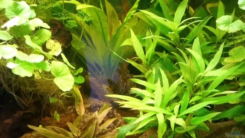 rechte Seite von lukasg (5)