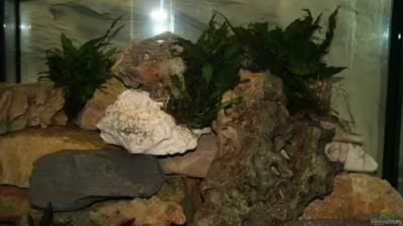 rechte Seite von Malawi (7)