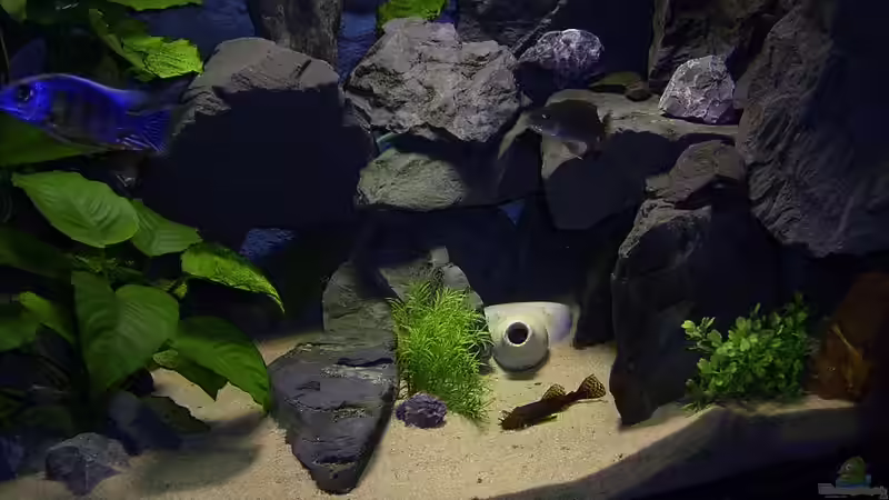 rechte Seite von Marco Spurzem (5)