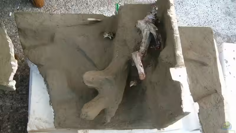 rechte seite von Markus Huber (16)