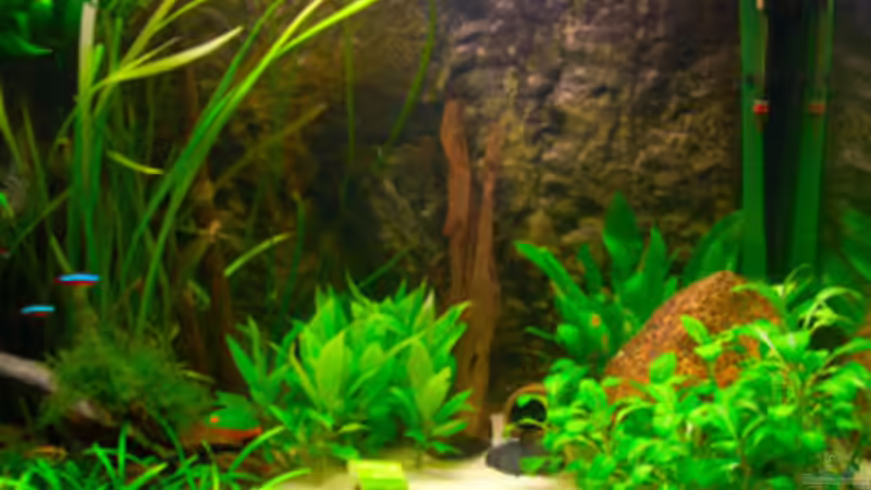 rechte Seite von Mathias Möller (3)