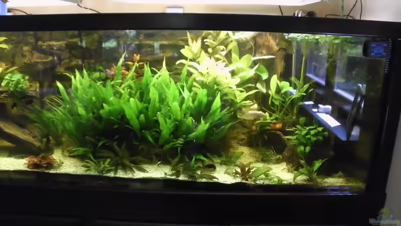 rechte Seite von Michael Schilling (3)