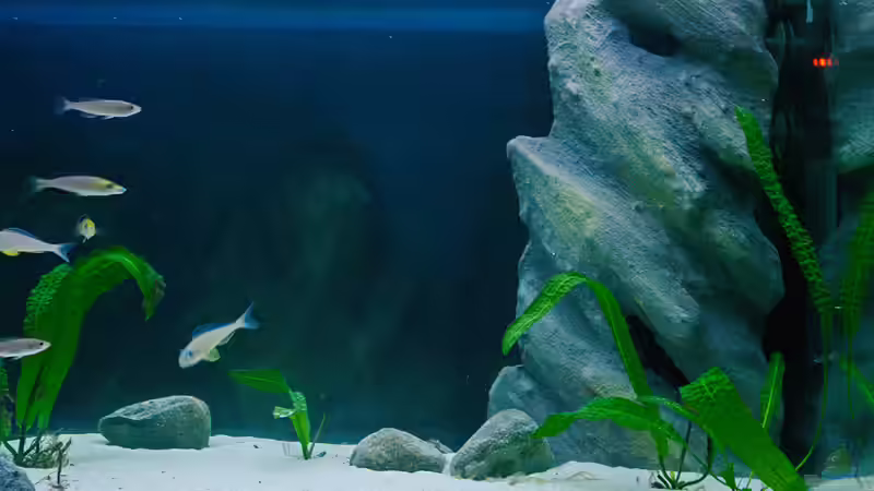 rechte Seite von Miriam (7)