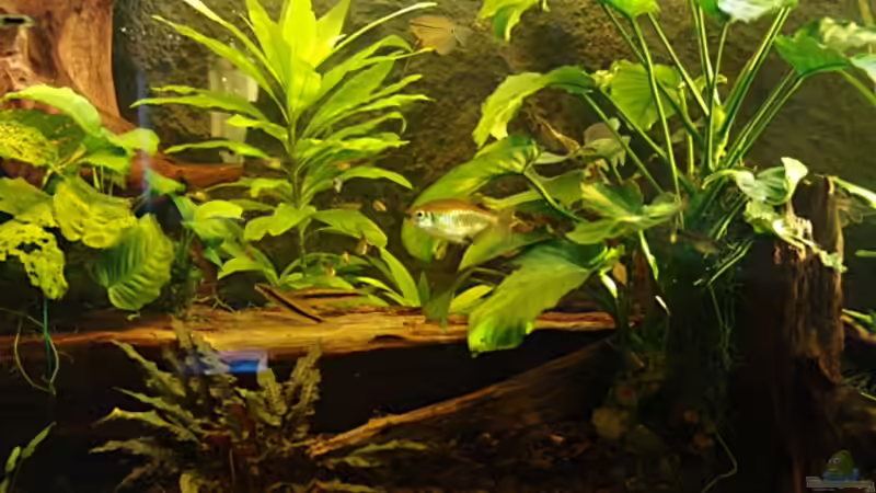 rechte Seite von Peer Wojtkowiak (12)