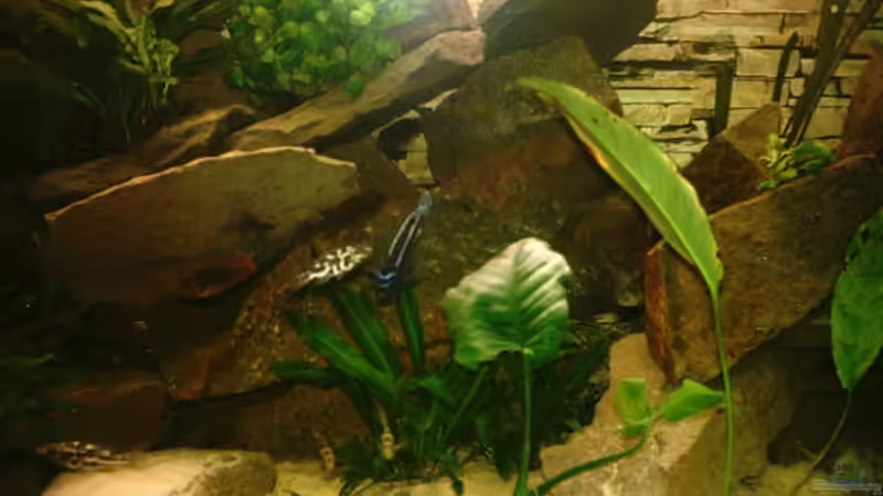 Rechte Seite von Philipp Clodt (3)