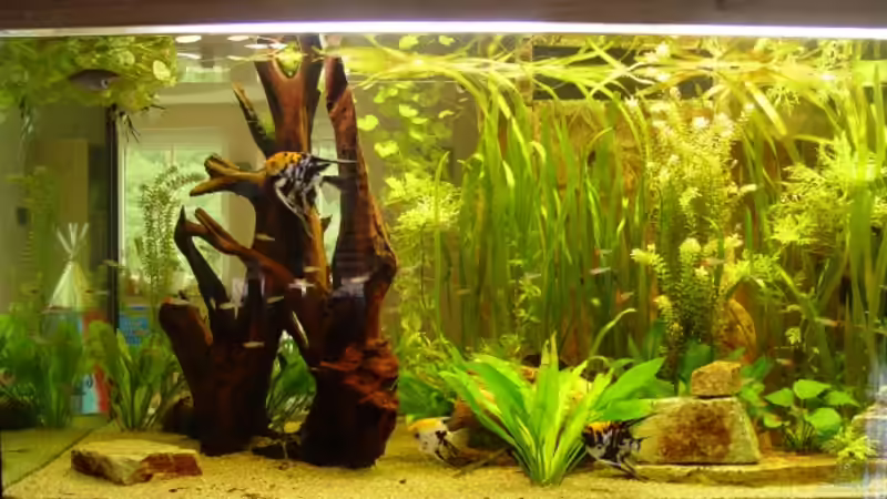 rechte Seite von Ralf Brücher (2)