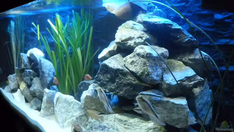 rechte Seite von René L. (2)