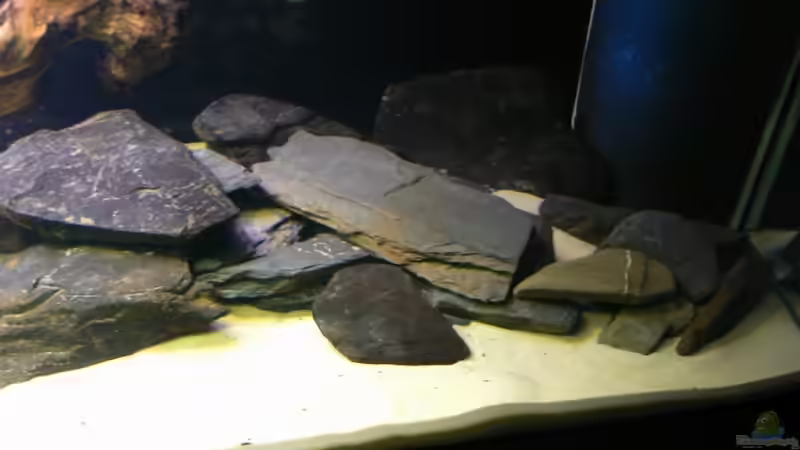 Rechte Seite von René Leubecher (8)