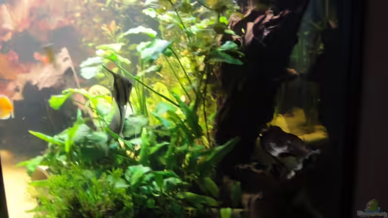 rechte Seite von Sabrina Plankensteiner (5)