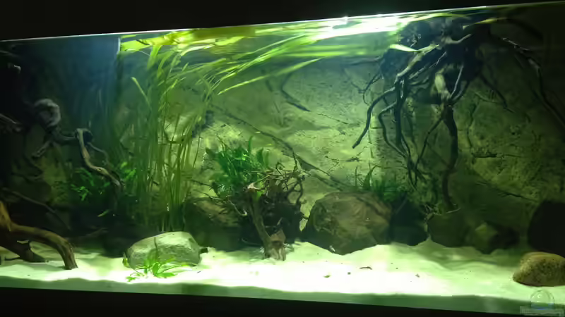 rechte Seite von SML (5)