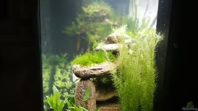 rechte Seite von Sprutz1973 (2)