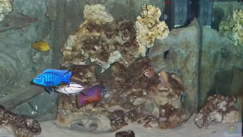 rechte Seite von Stephan Ascher (4)