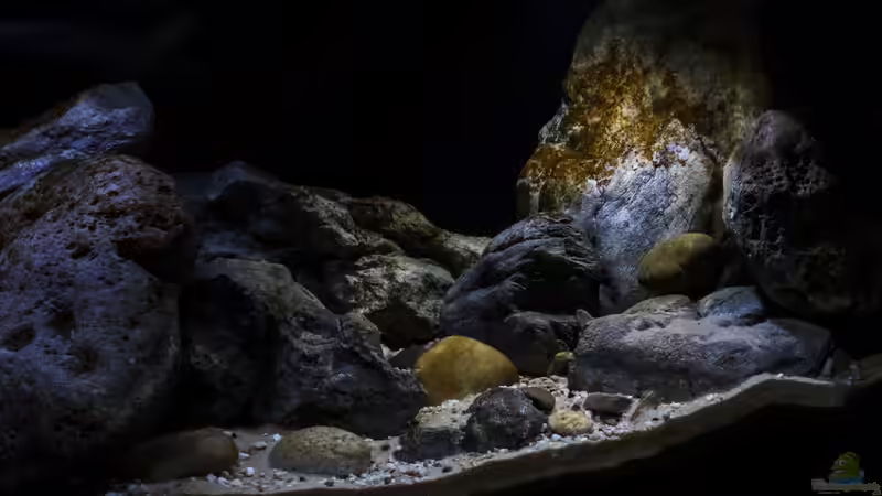 rechte Seite von StevenS (11)