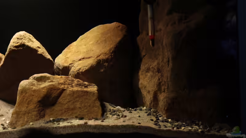 rechte Seite von StevenS (11)