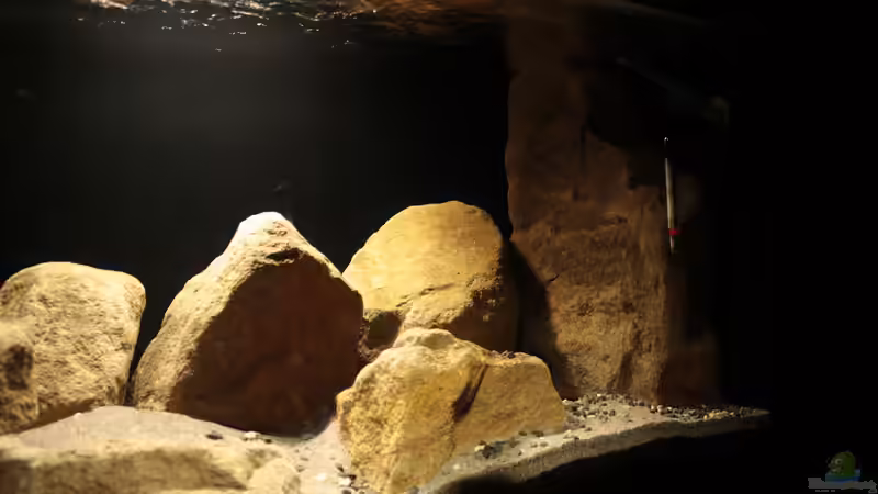 rechte Seite von StevenS (6)