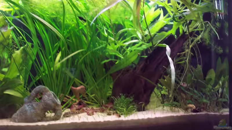 Rechte Seite von Sven Pohlner (7)