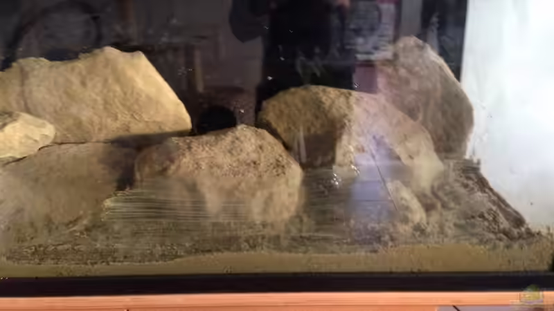 rechte Seite von Swenni (4)