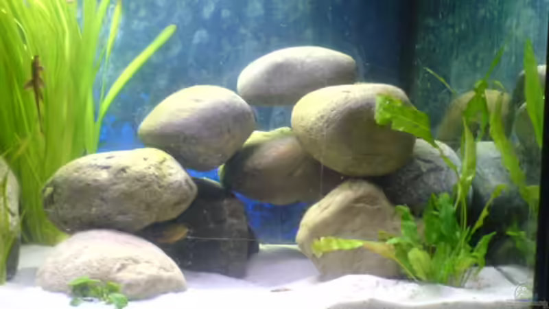 Rechte Seite von t-time (2)