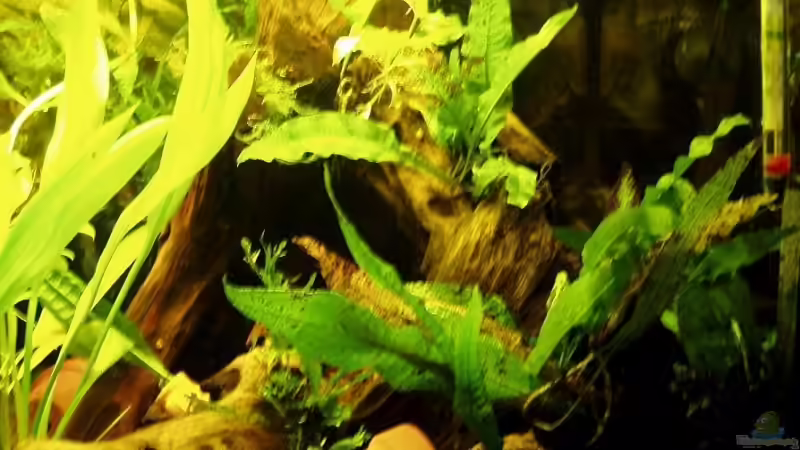 rechte Seite von Tobias Kappe (3)