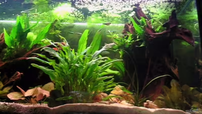 rechte Seite von unten von Andrea&Andreas Wielpütz (3)