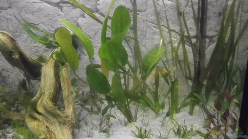 rechte Seite von Uwe W (17)