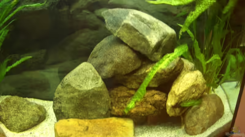 rechte Seite von various77 (3)