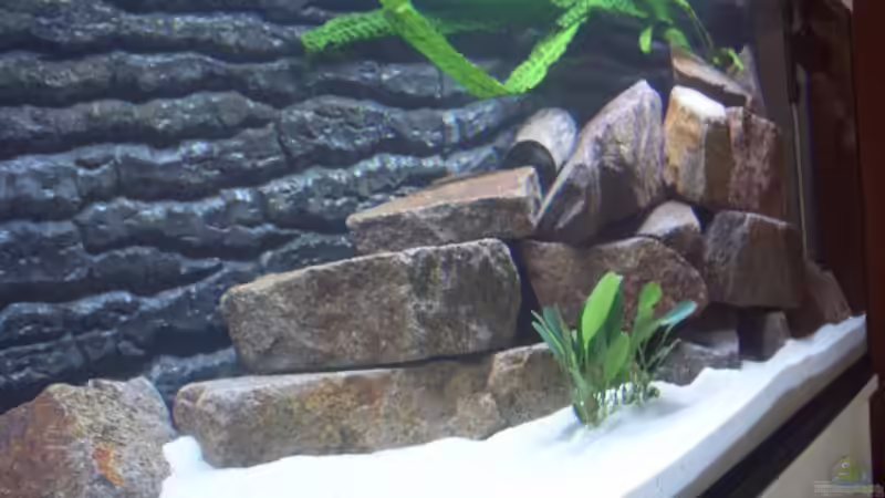 rechte Seite von various77 (7)