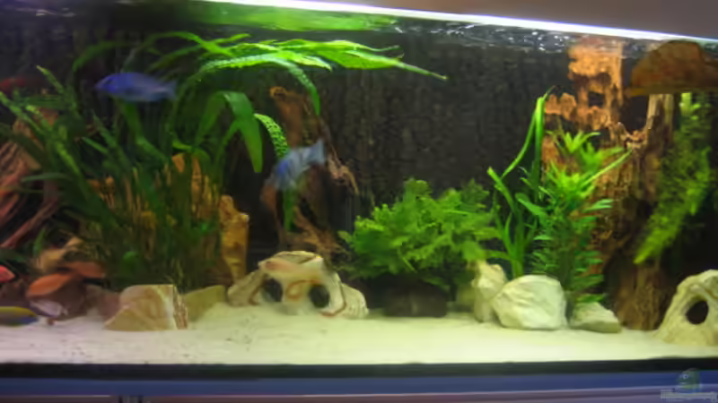 rechte Seite von Vicky Gröbl (3)