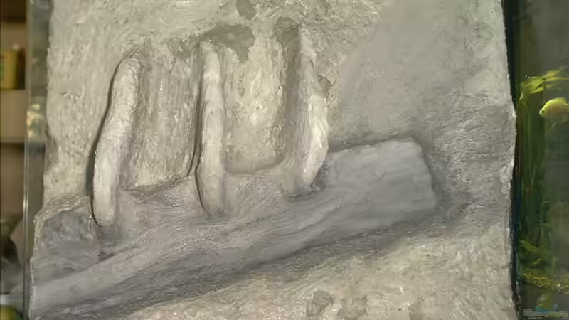 rechte Seite von Yvonne-Alison De Bruijne (4)