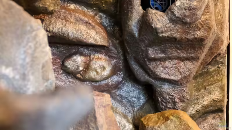 rechte Seitenwand mit Tunze und Heizstab von Cruiser Bruno (52)