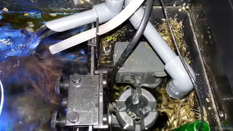 rechte Technikkammer im Aquarium mit Zu-und Ablauf, Oberflächenabzug, Strömungspumpe von Jens Kändler (28)