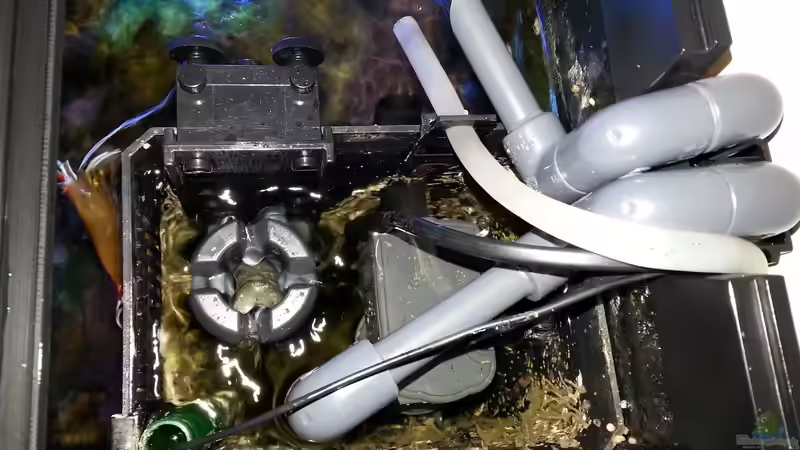 rechte Technikkammer im Aquarium von Jens Kändler (29)