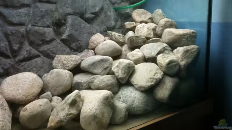 rechter Aufbau von Ether1986 (9)