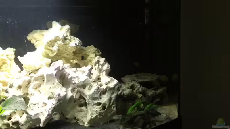 Rechter Bereich mit künstl. Stein (schönere Bilder folgen) von Alexbj93 (4)