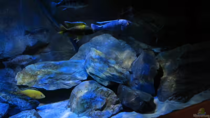 Rechter Bereich vom 06.02.2013 von Steffen G (27)