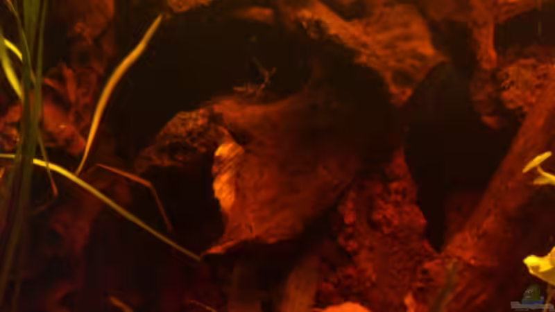 Rechter Bereich von Kai Heermann (14)