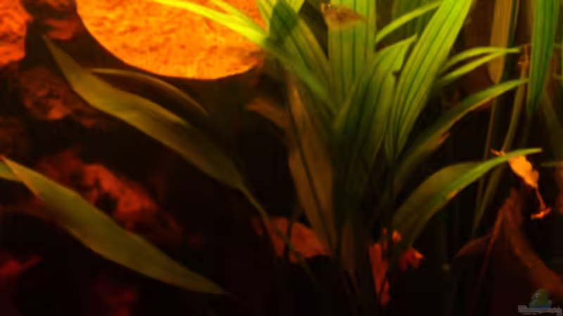 Rechter Bereich von Kai Heermann (6)