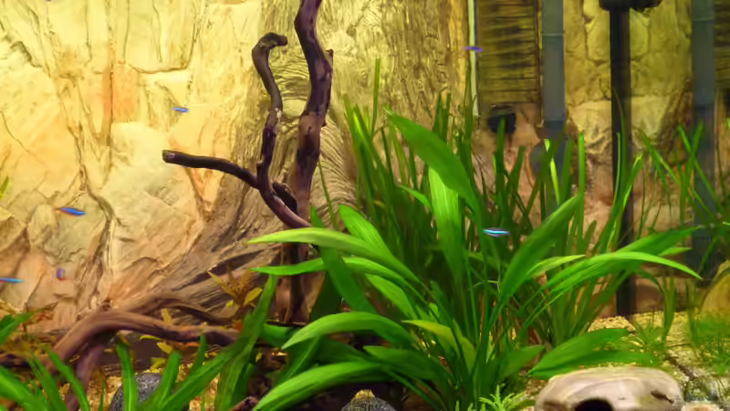 Rechter Bereich von MaTrou (5)