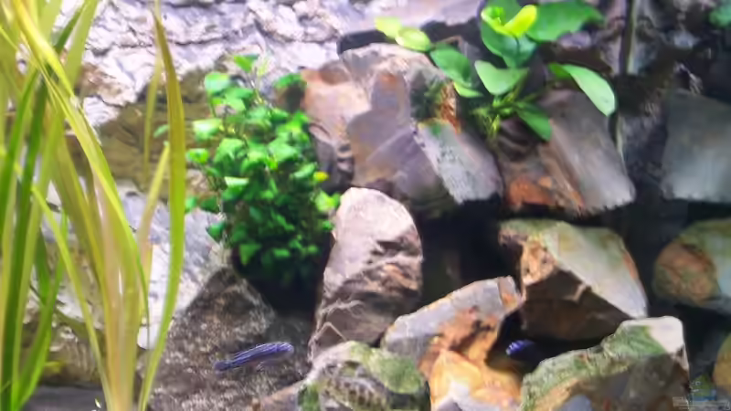 rechter granit aufbau von Maik (8)