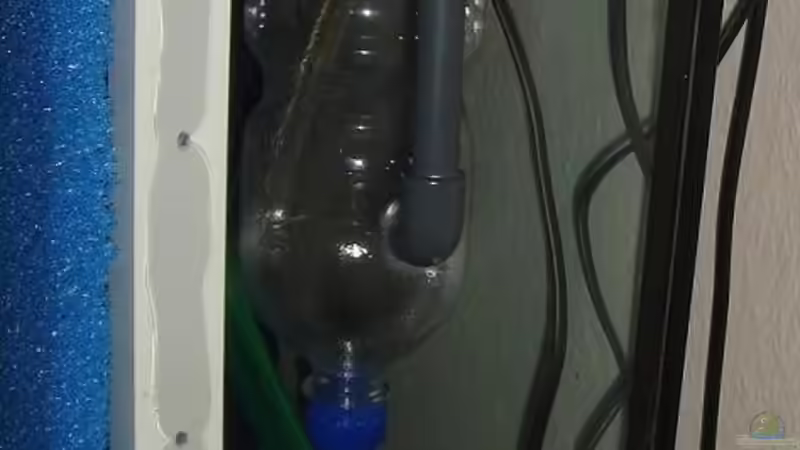 Rechter HMF von Sven Pohlner (11)