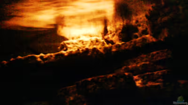 rechter pumpenausgang bei anfang der sunrise von LaEy (51)