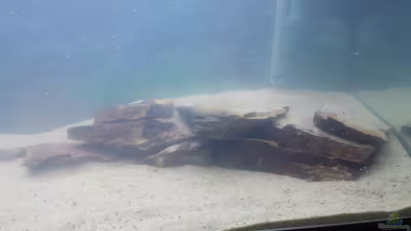 Rechter Steinaufbau von schilli (40)